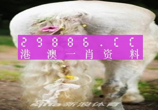 澳门一肖一码一一子|可靠研究解释落实_增强版240.312