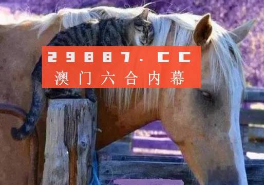 新澳门彩4949最新资料记录|准确资料解释落实_旗舰版250.332