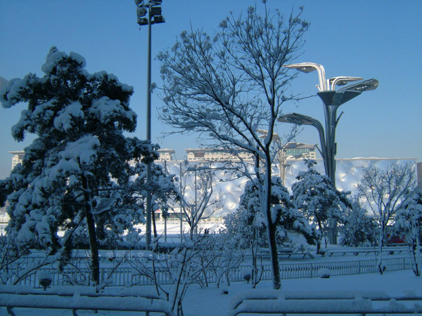 北京奥林匹克公园看雪