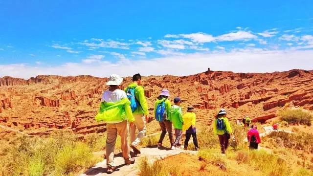 夏天森林露营装备，打造完美的户外探险之旅