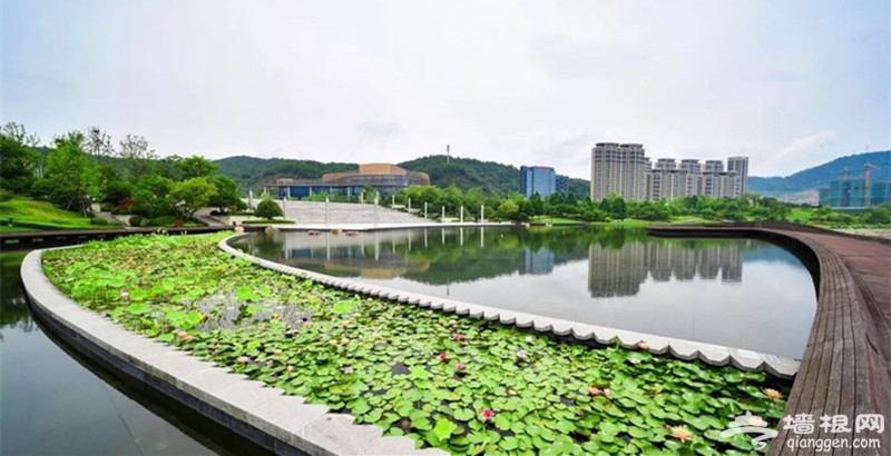 千岛湖青溪新城社区地址，探索现代城市社区的崛起与魅力