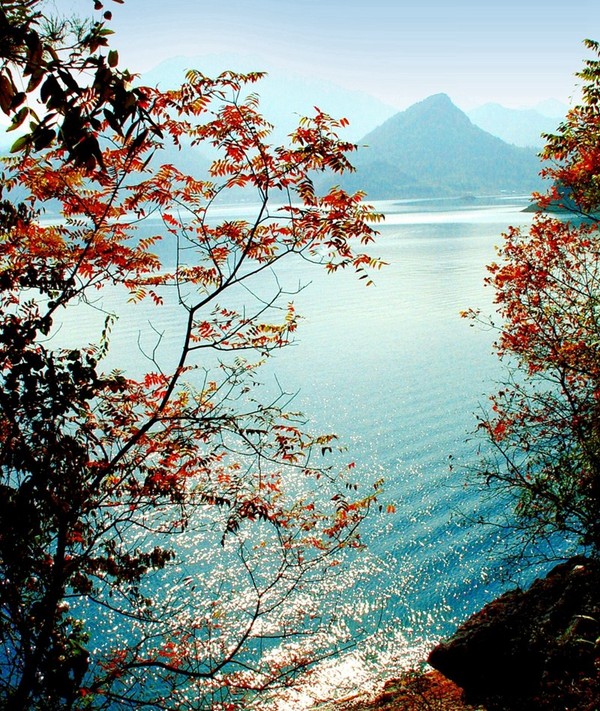 千岛湖百花香地址，自然之美与人文之韵的交融之地