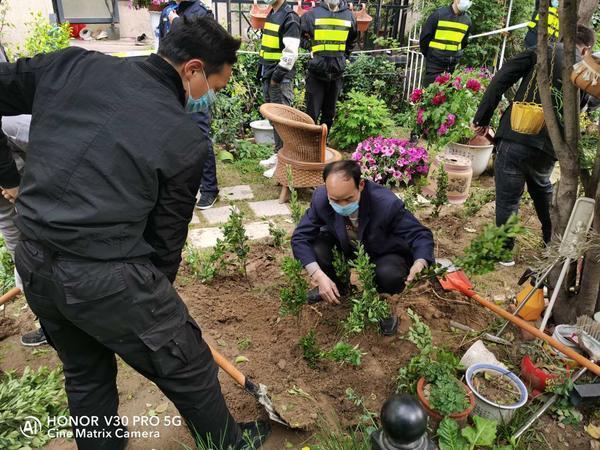 室内挂式绿植盆栽，绿意盎然的艺术装饰