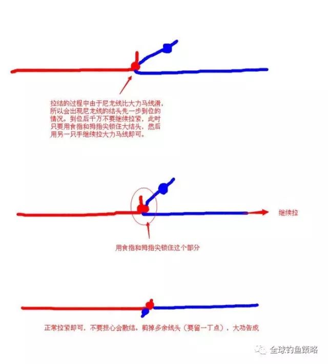 PE线主线与大力马主线的优势及应用