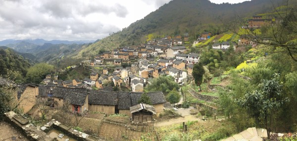 千岛湖周边油菜花田的地址与美景