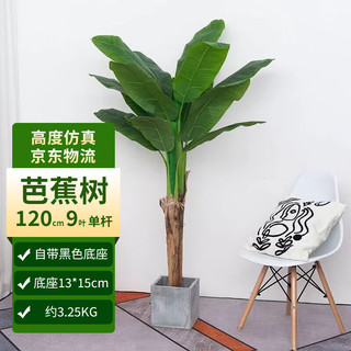 好样的室内大型绿植盆栽