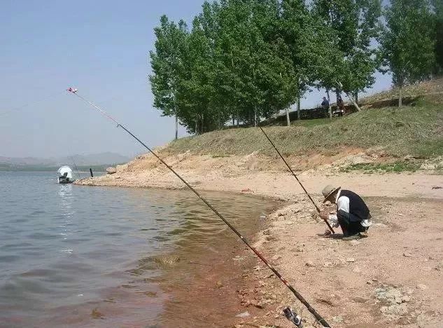 大力马防炸线海竿主线，探索海洋钓鱼的新境界